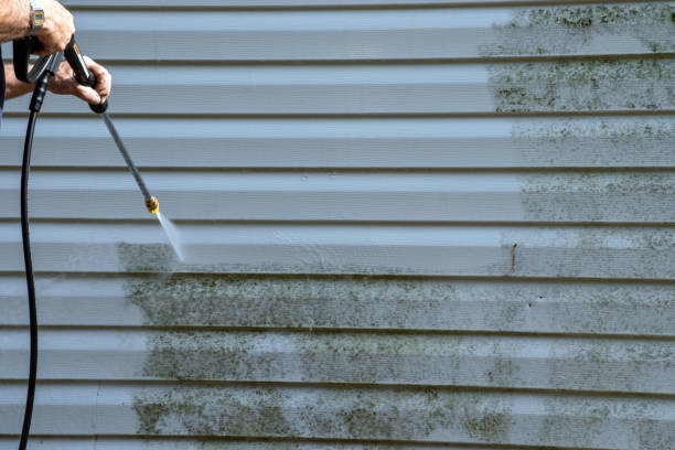 Best Composite Siding  in Elmwood, LA