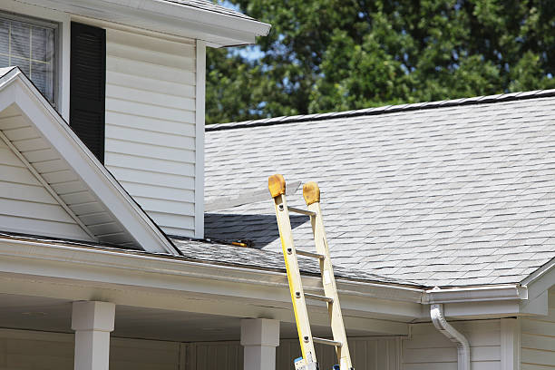 Best Fascia and Soffit Installation  in Elmwood, LA