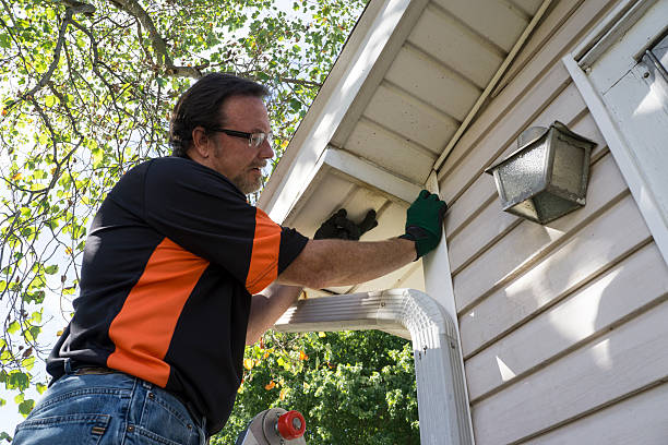Affordable siding repair and maintenance services in Elmwood, LA